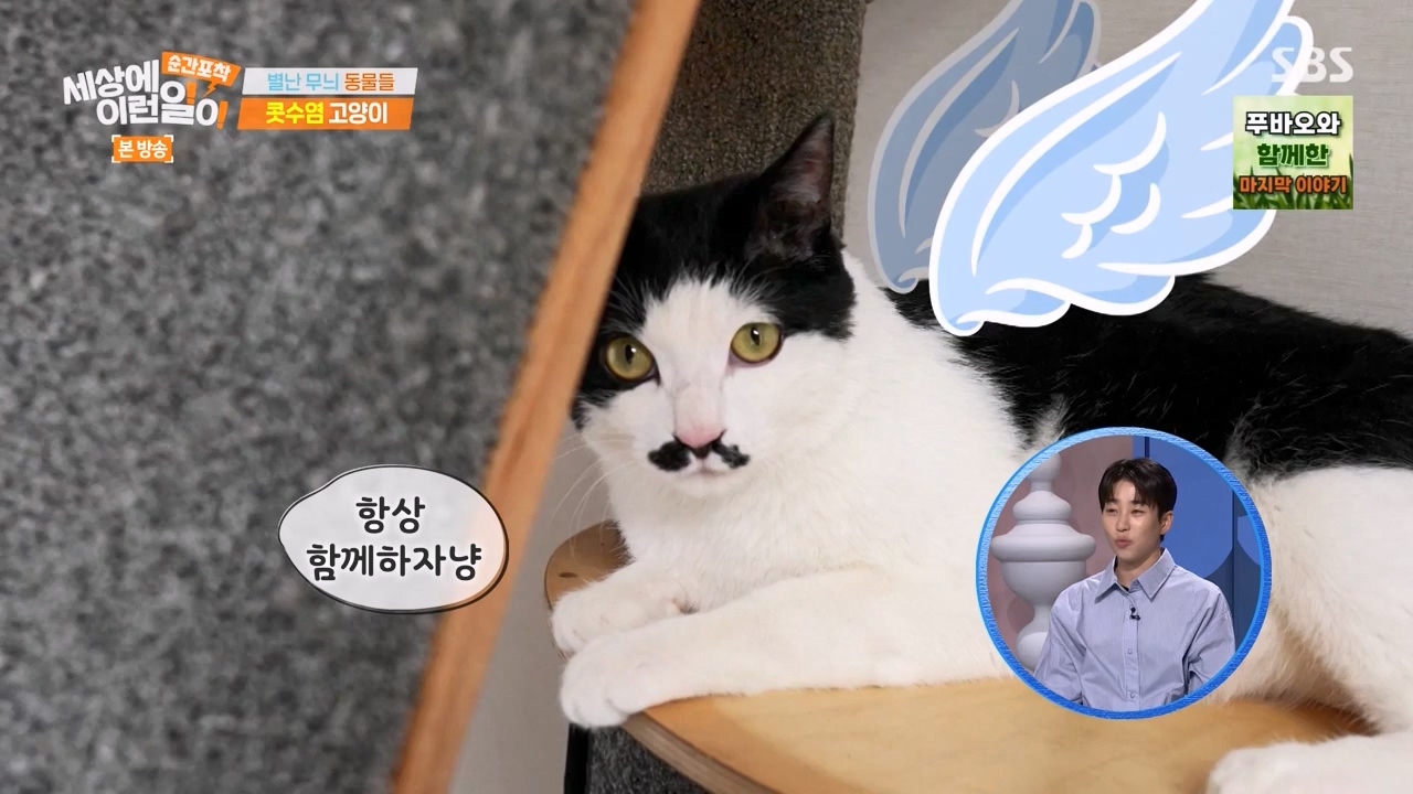 순간포착 세상에 이런일이.E1270.240324p-NEXT.mp4_20240324_164817.440.jpg