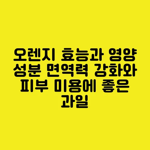 오렌지 효능과 영양 성분 면역력 강화와 피부 미용에 좋은 과일