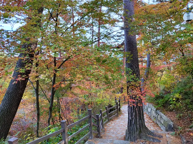 영월-법흥사-적멸보궁-가을-단풍