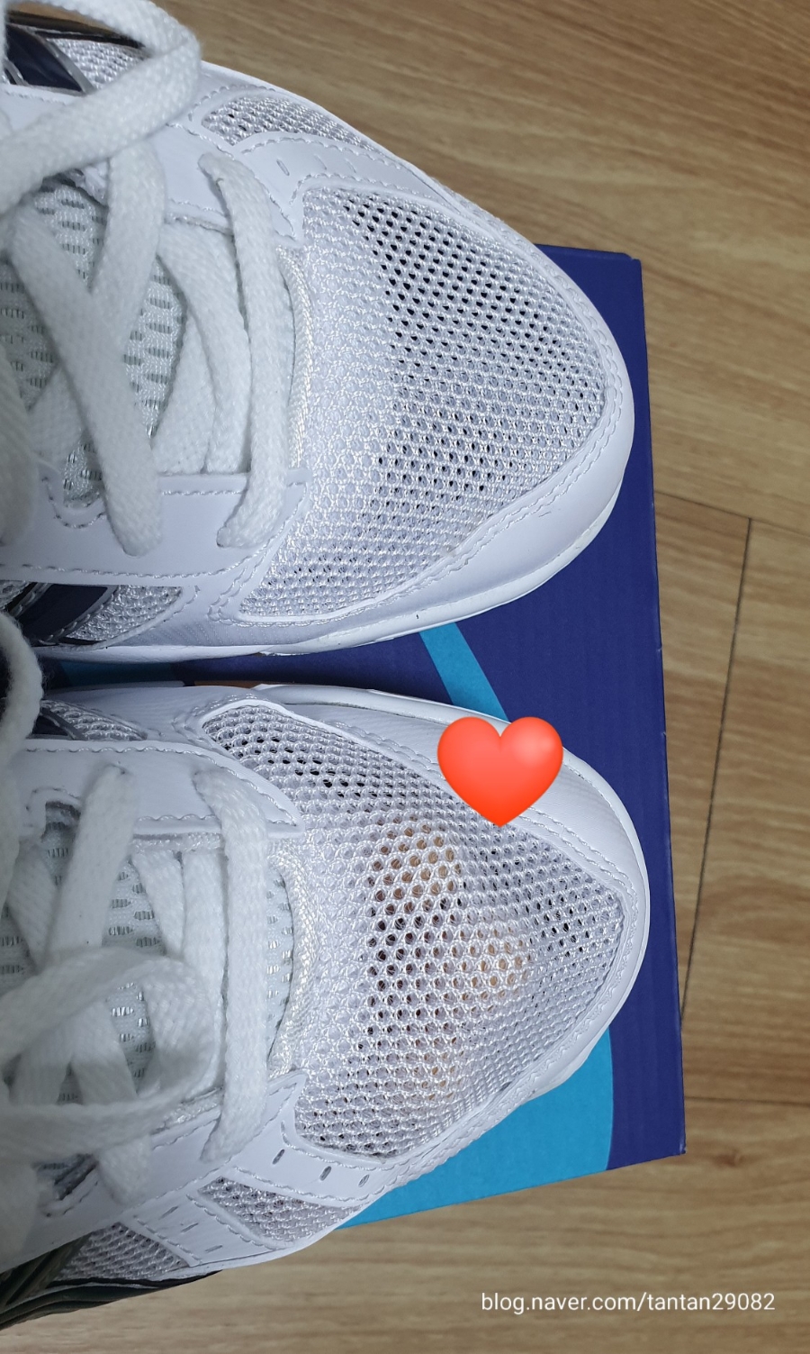 1타3만체육쿠폰으로 복싱입문! 복싱화 1