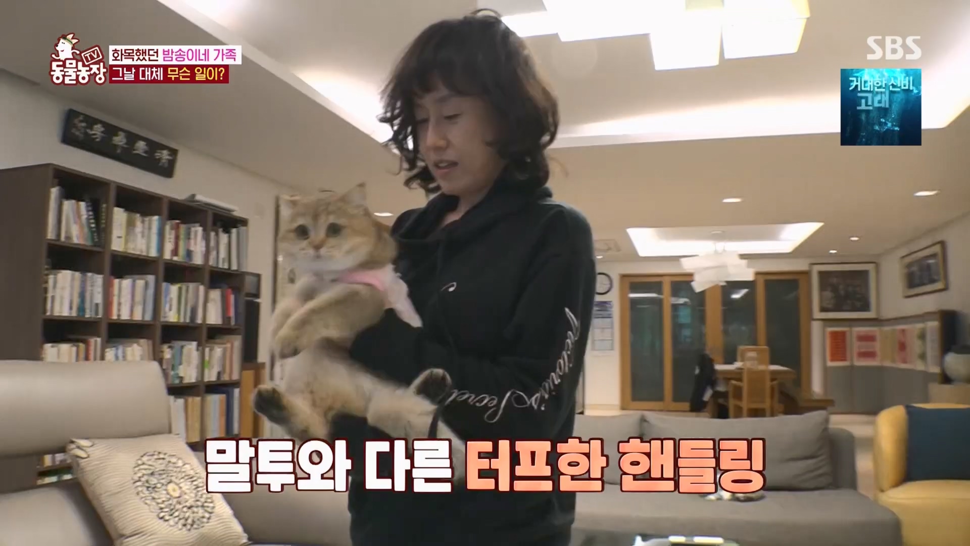 TV 동물농장.E1148.231203p.H264-F1RST.mp4_20231203_181434.427.jpg