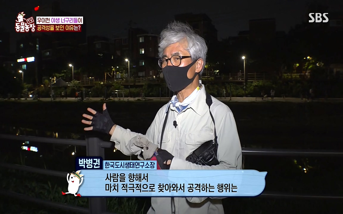 TV 동물농장.E1080.220732p-NEXT.mp4_20220731_174216.118.jpg