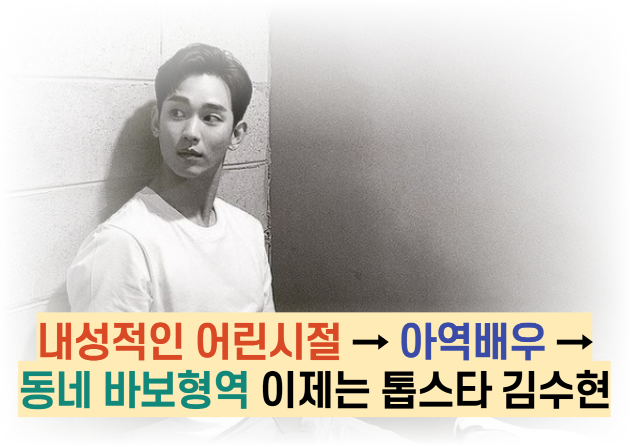  내성적인 어린시절 → 아역배우 →  동네 바보형역 이제는 톱스타 김수현