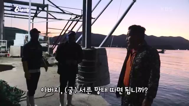 6시 내고향_김장의 필수품 평창 고랭지 배추 - 강원 평창 [슬기로운 두 반장] 슬기로운 어르신들을 찾아서 (충북 제천) [붕붕이가 간다] 철원에 무슨 일이 (강원 철원) [인생은 행복海] 우리는 환상의 사촌 (경남 통영).ts_20231117_205446.501.jpg