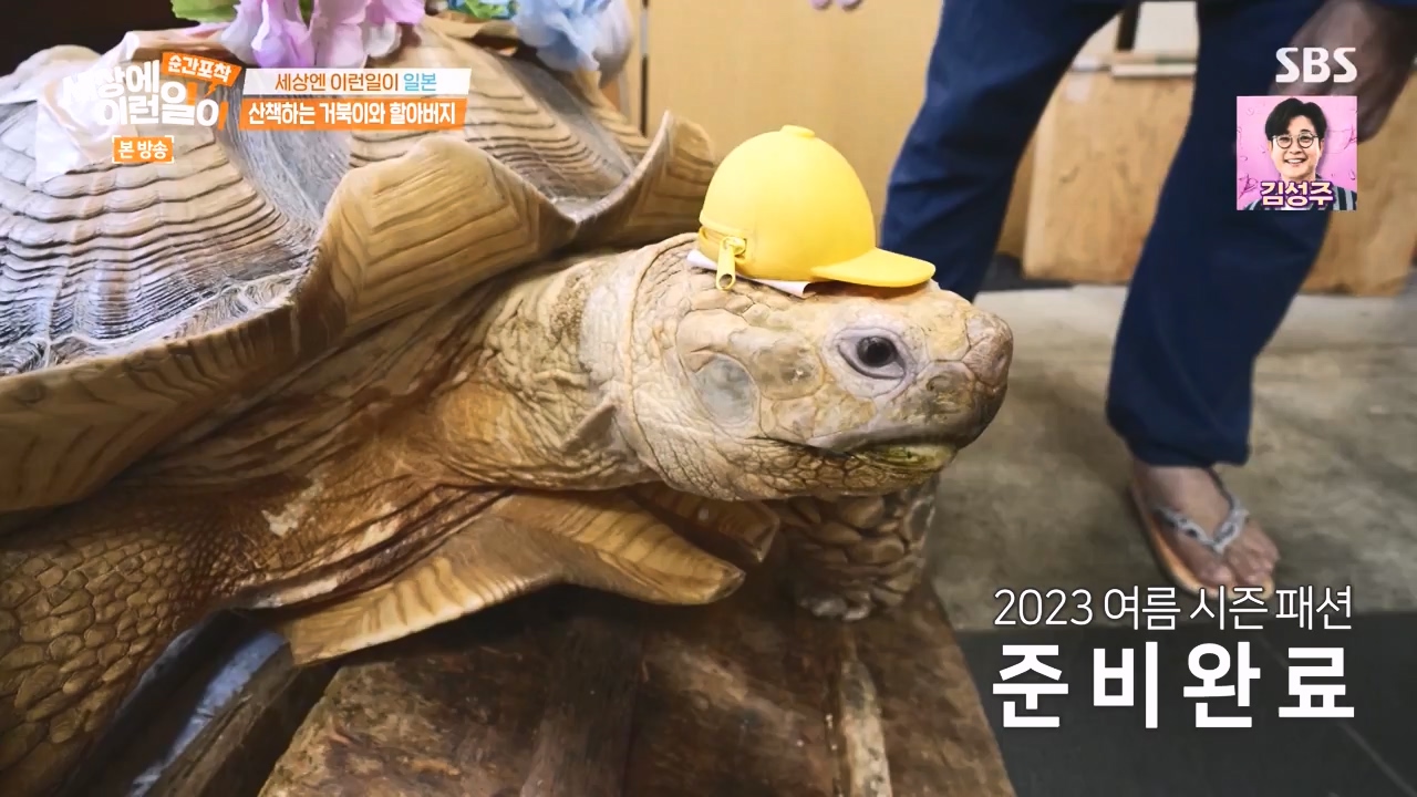 순간포착 세상에 이런일이.E1243.230827p-NEXT.mp4_20230827_173840.093.jpg