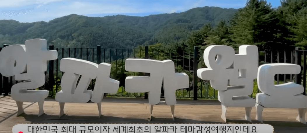 알파카 월드 