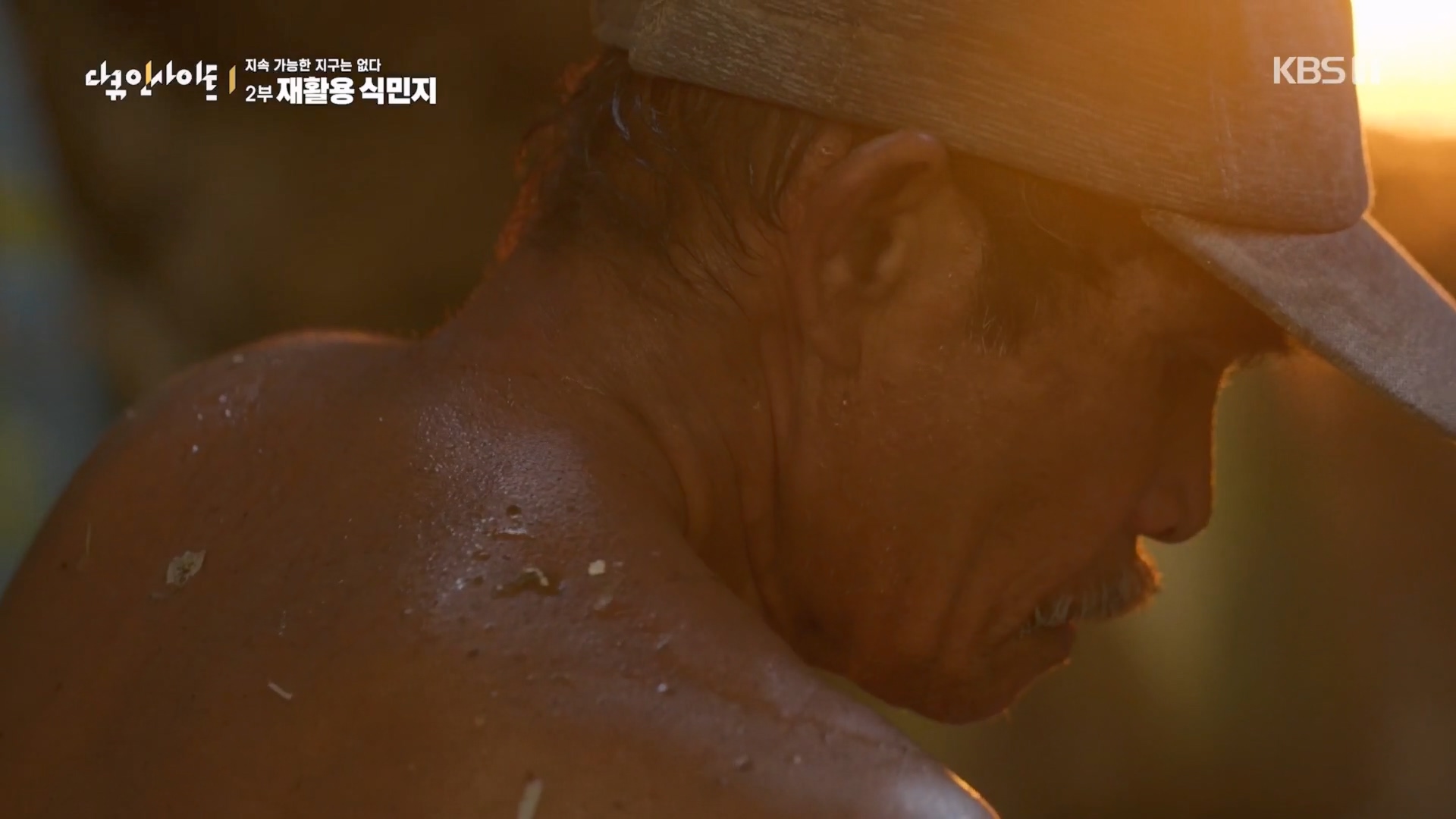 다큐 인사이트.E181.240118p.H264-F1RST.mp4_20240119_202816.337.jpg