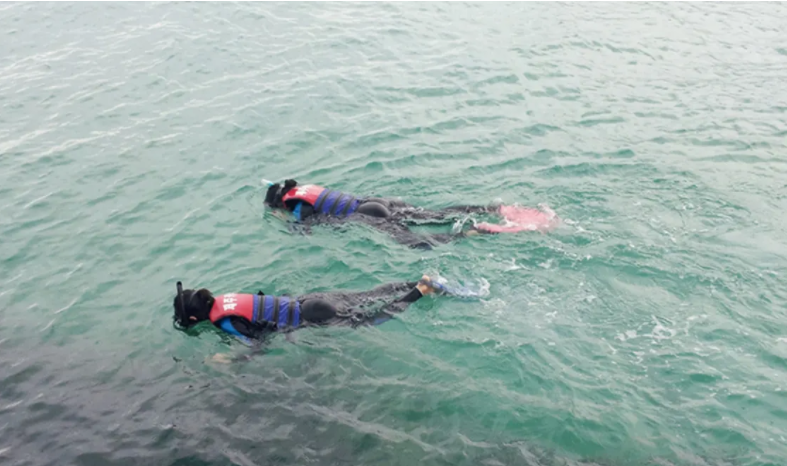  제주도스노클링  // 제주도의 스노클링스팟으로 유명한 하도해수욕장에서 즐기는 제주스노클링 체험