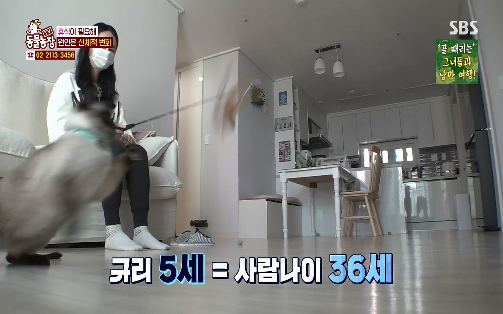 TV 동물농장.E1067.220501p.H264-F1RST.mp4_20220501_182831.069.jpg