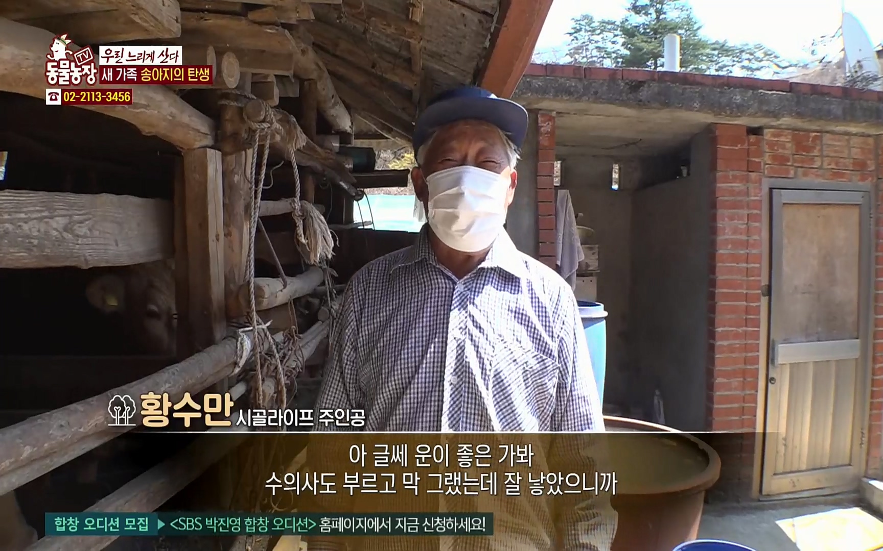 TV 동물농장.E1067.220501p.H264-F1RST.mp4_20220501_183440.050.jpg