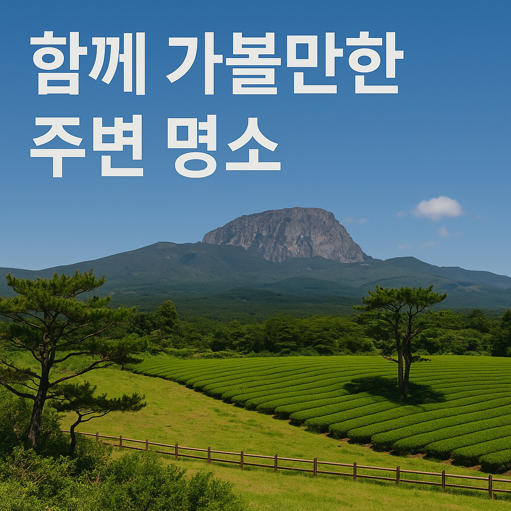 제주 녹차 여행의 정수, 오설록에서 하루