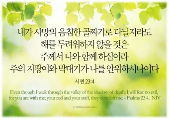 오늘의 성경 말씀 시편 119 하나님의 빛_40