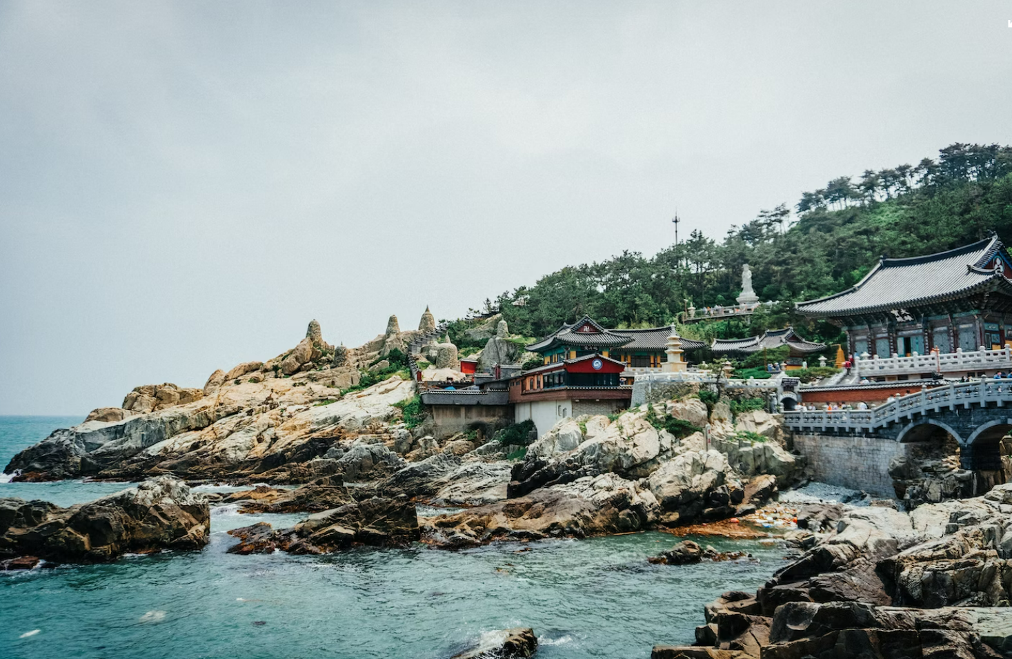  Must-Try Foods When Visiting Busan, South Korea