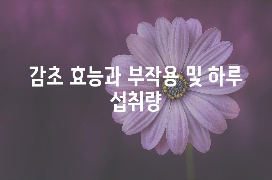 샘플 (50)