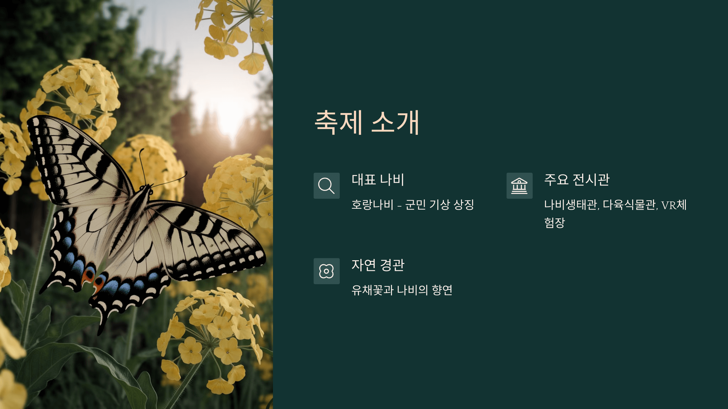 함평나비대축제 소개