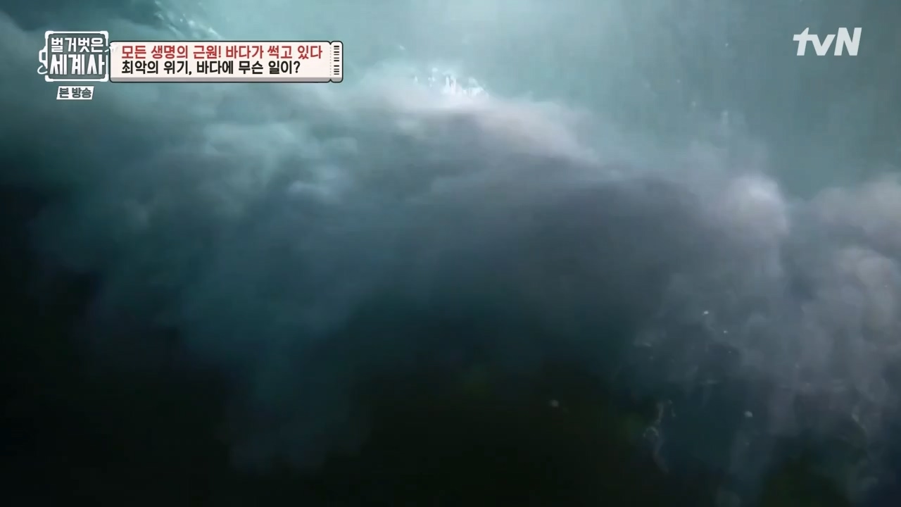 벌거벗은 세계사.E90.230315p-NEXT.mp4_20230419_212527.875.jpg