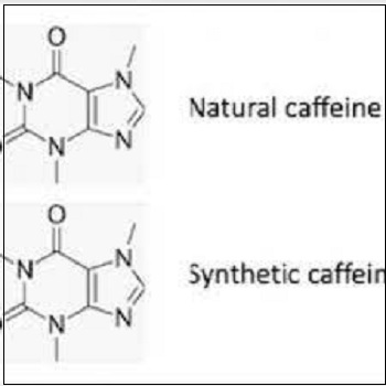 합성 vs 천연 카페인이 노화에 미치는 영향 Synthetic vs. Natural Caffeine and How Each May Affect Aging