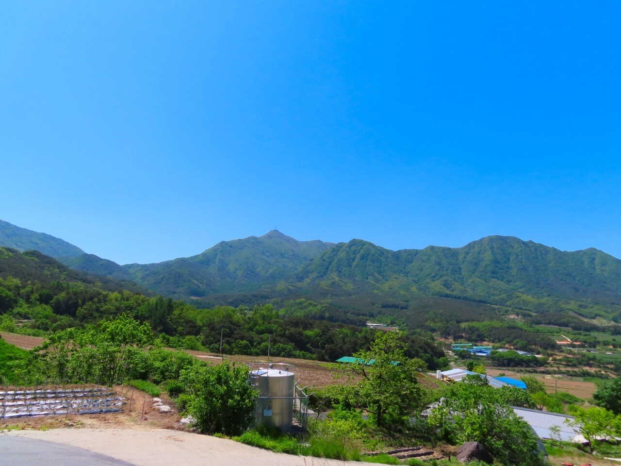 블랙야크 100+, Y출렁다리, 1