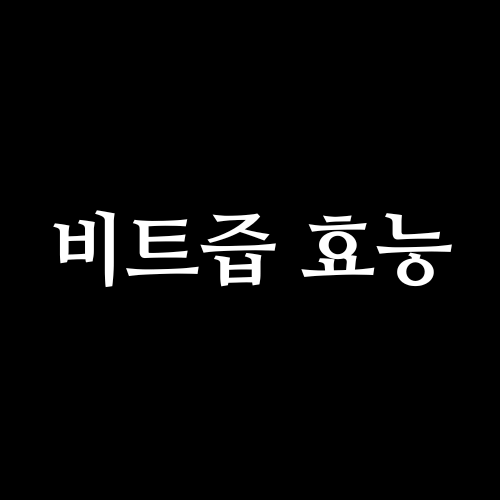 비트즙 효능