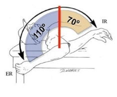 정상적인 어깨 가동범위