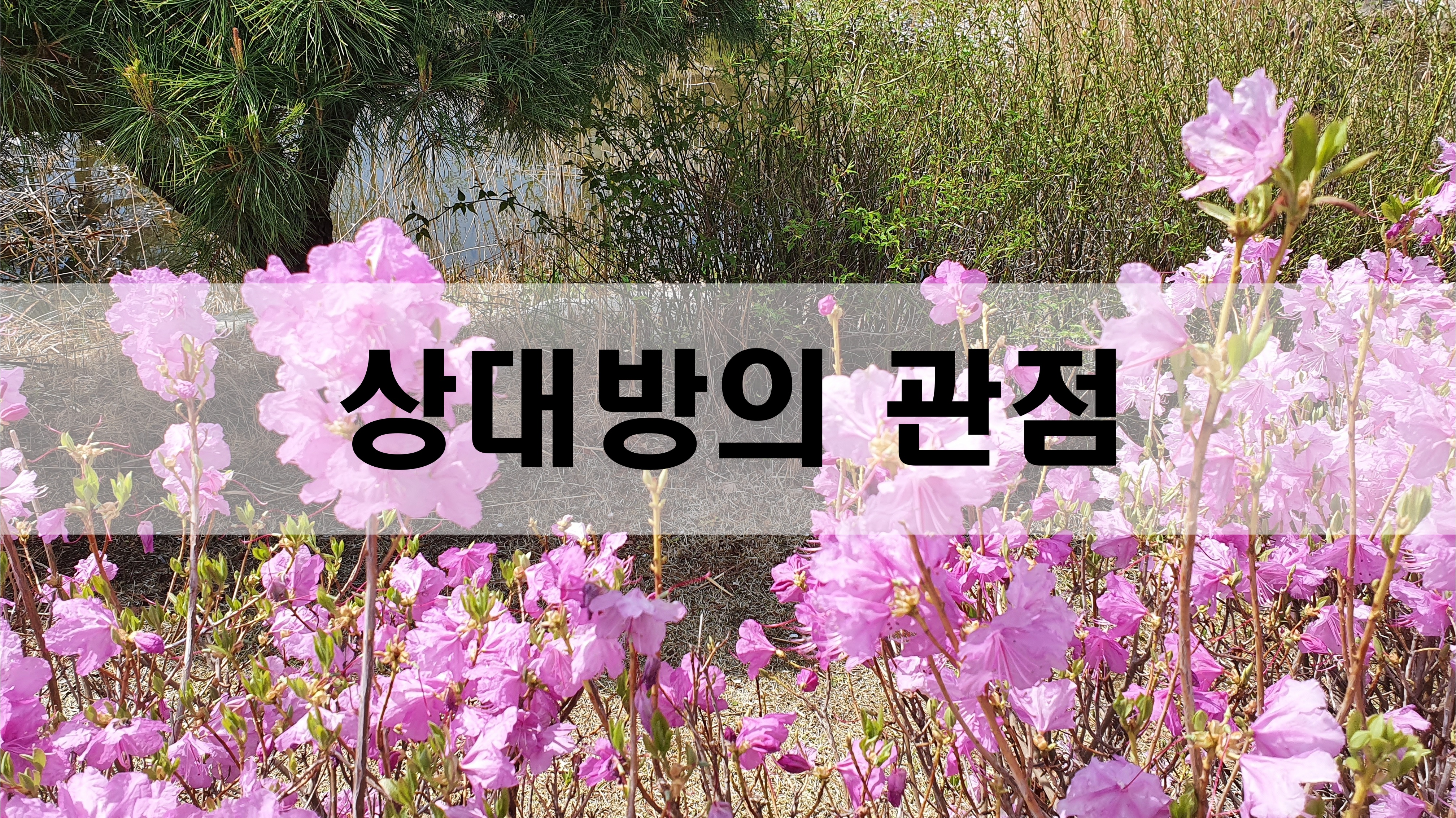  상대방의 관점 [성장 명언]