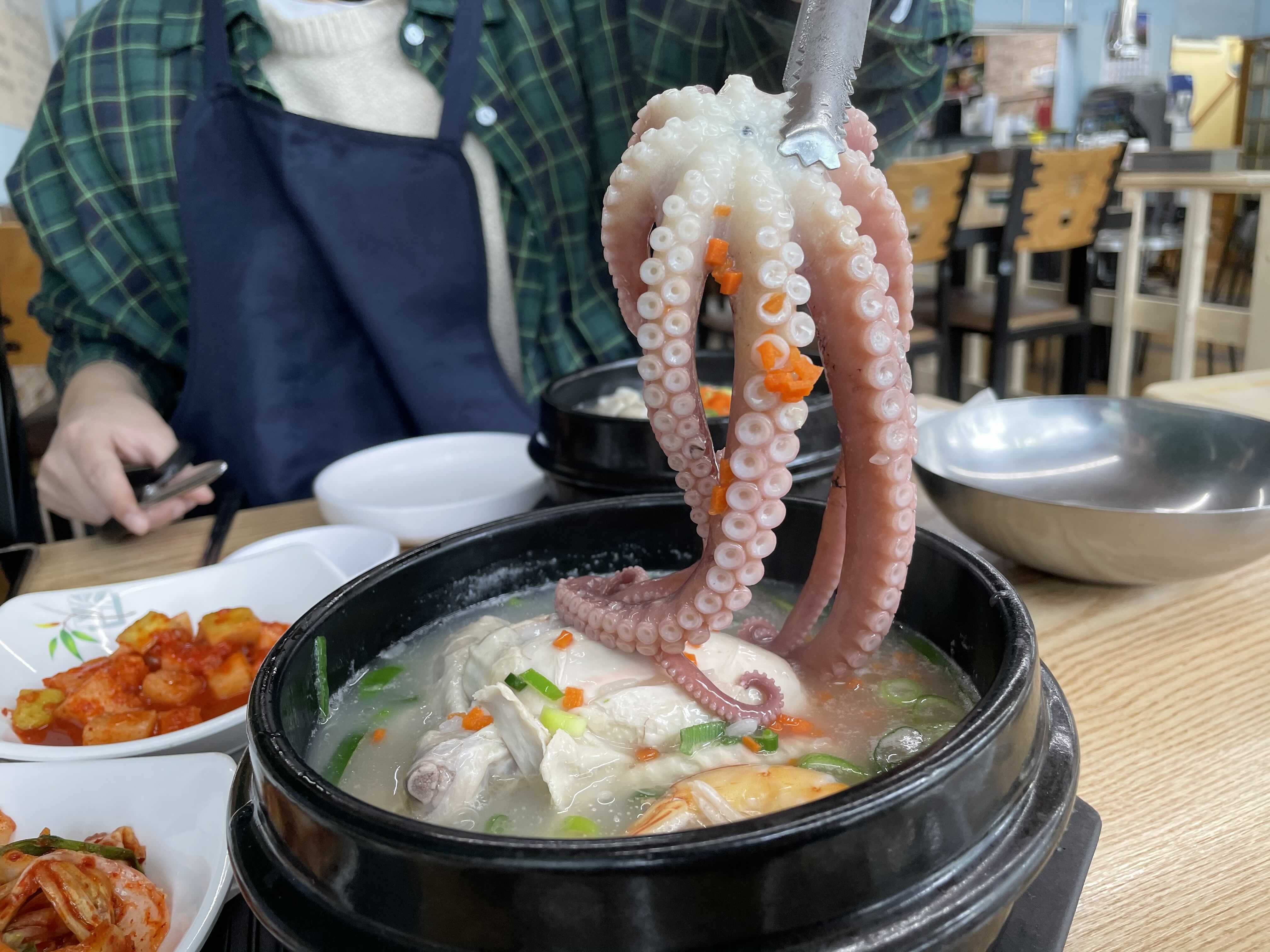  대전 삼계탕 맛집 도마동 누이삼계탕