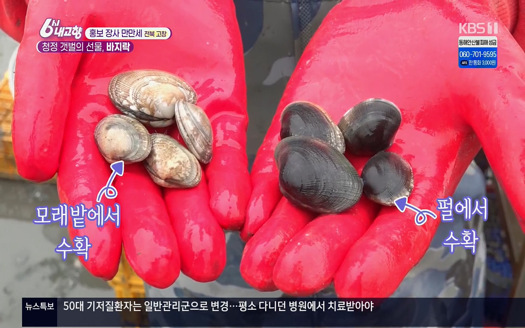 6시 내고향.E7494.220322p.H264-F1RST.mp4_20220326_174211.587.jpg