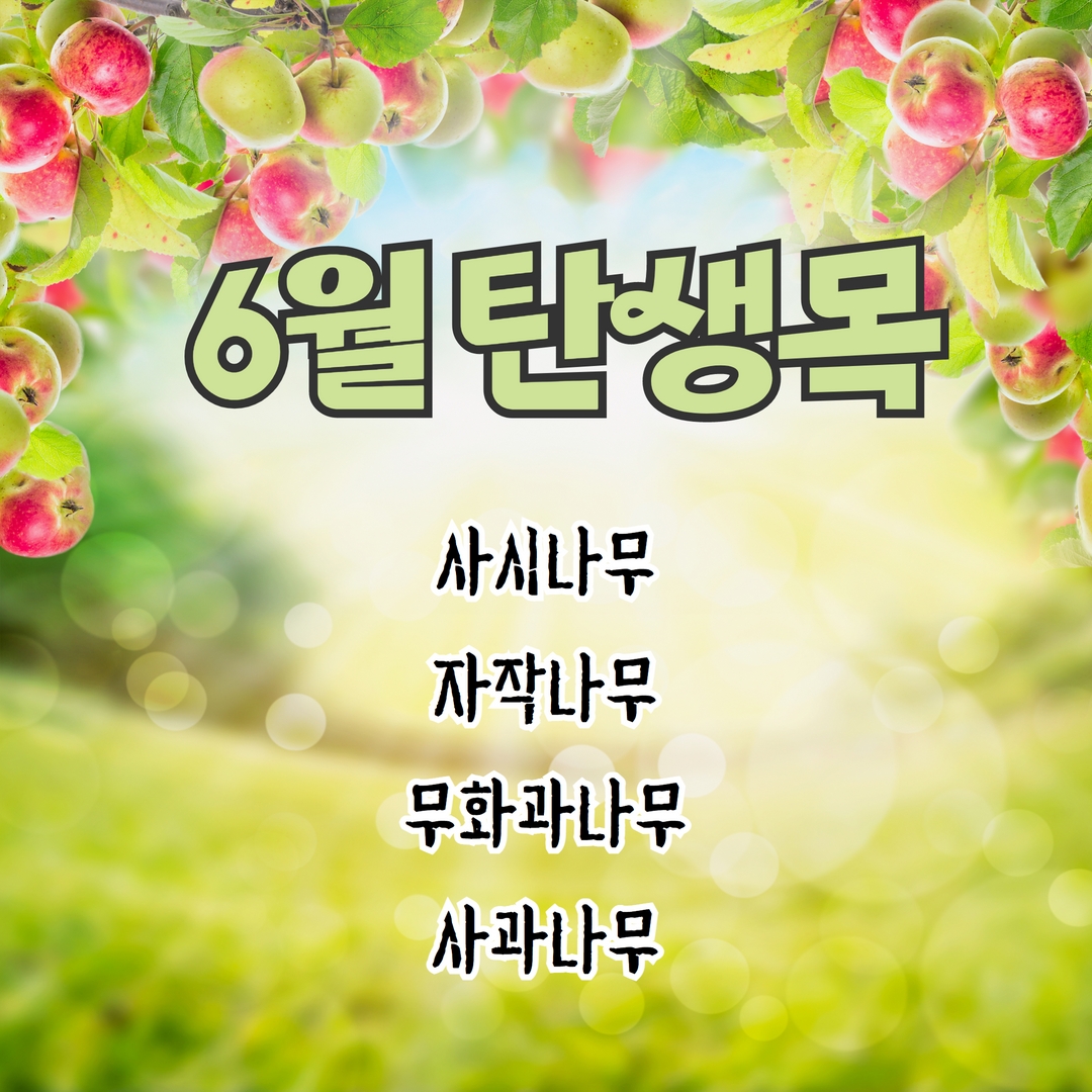  6월의 탄생목 - 사시나무, 자작나무, 무화과나무, 사과나무