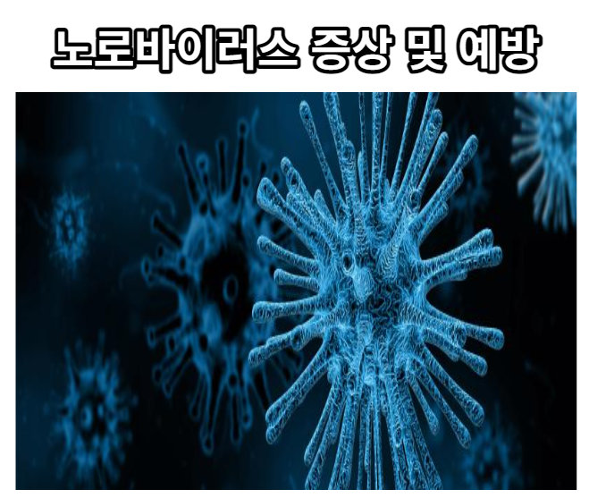 노로바이러스 증상 및 예방