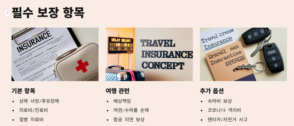 필수 보장 항목