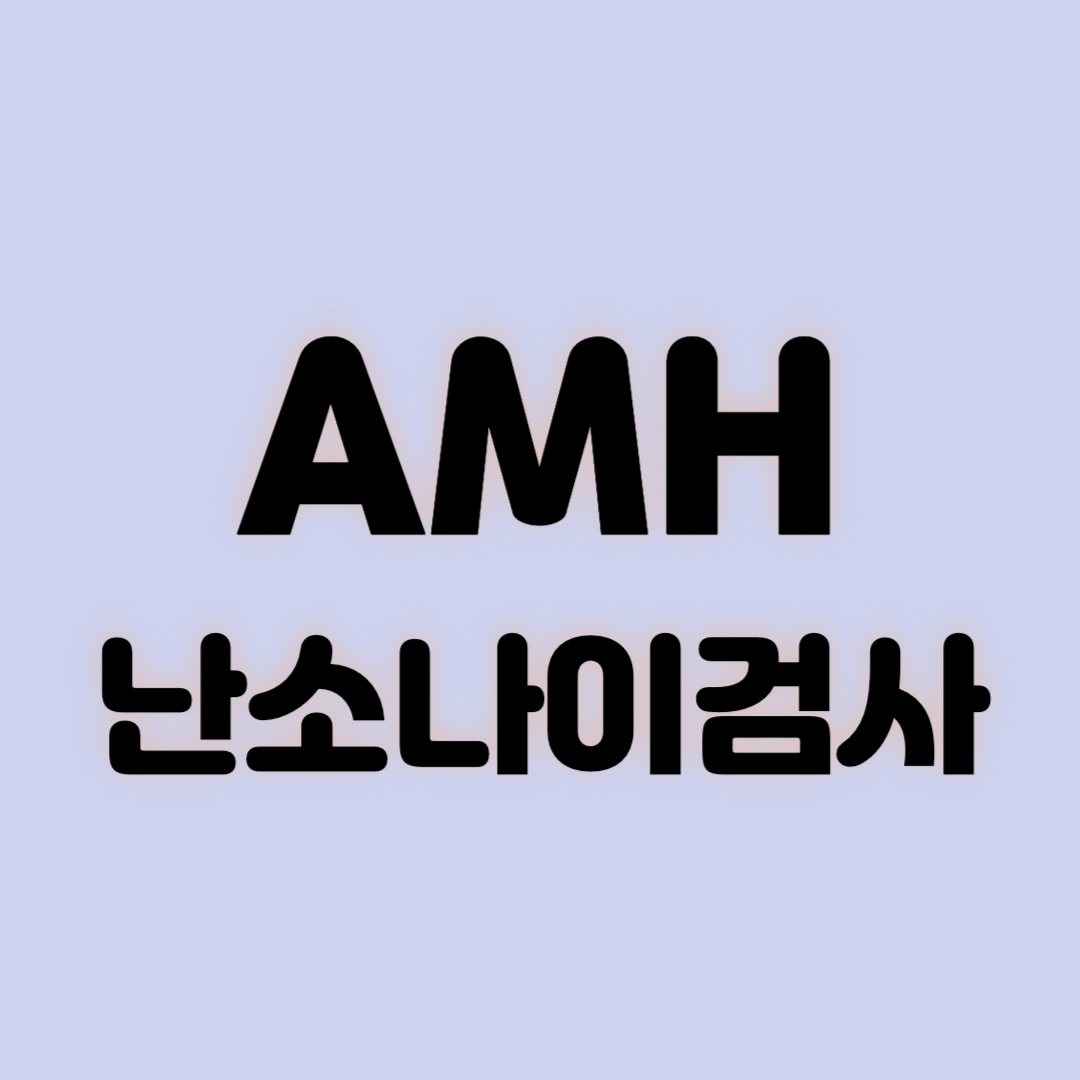 AMH 난소나이검사