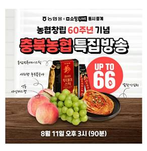 퀴즈