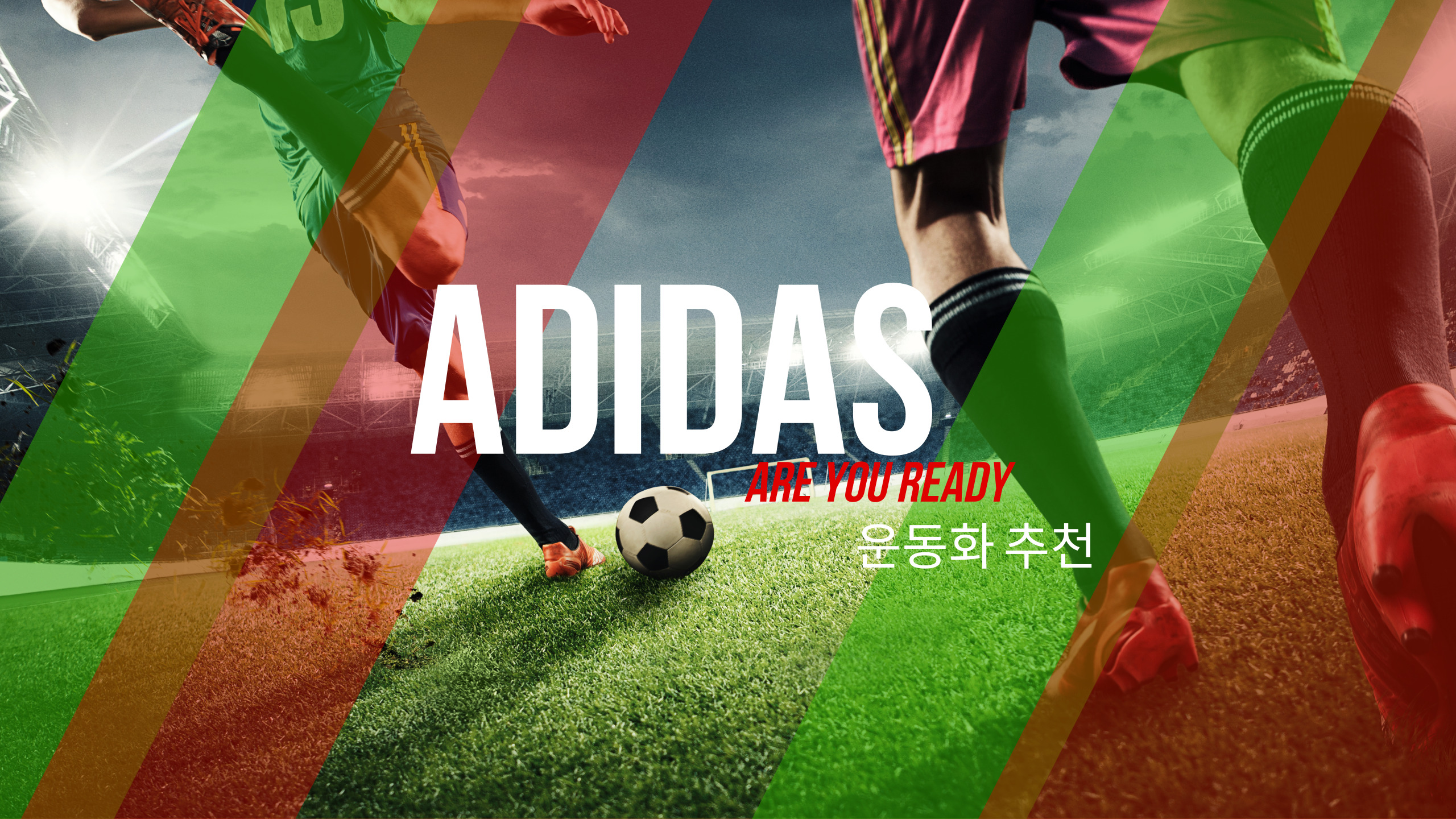  아디다스 운동화 Top5