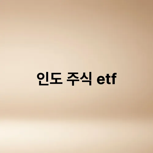 인도 주식 etf