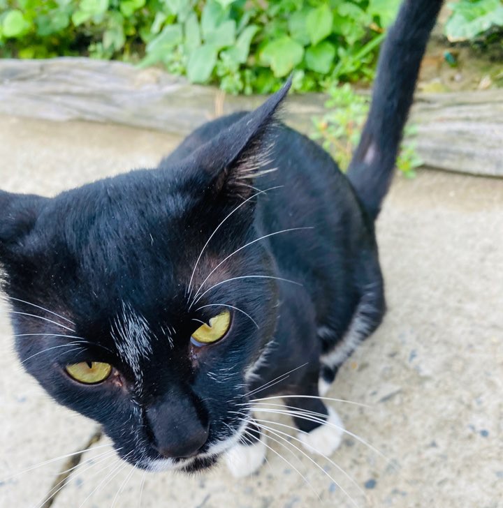 가을 들판 사진 가을 들판에서 8