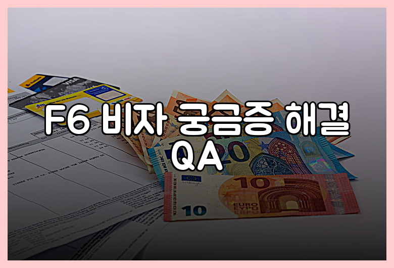 F6 비자 궁금증 해결 QA