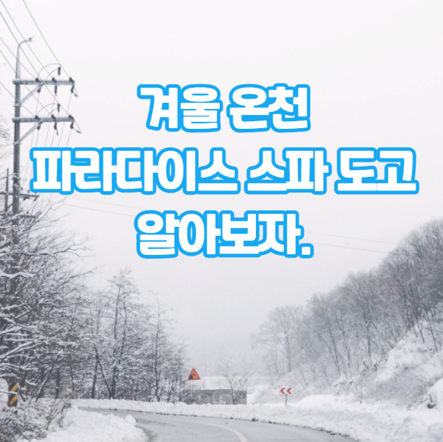 파라다이스 스파 도고