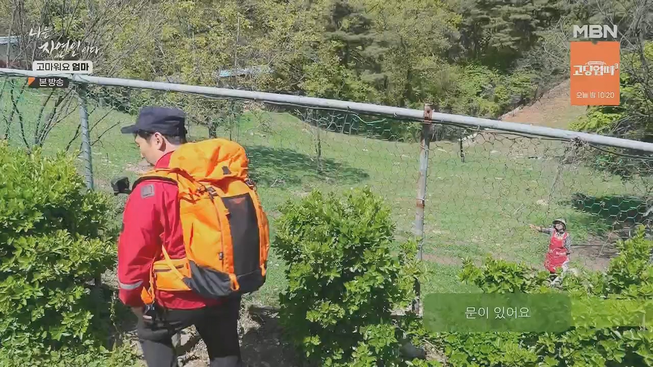 나는 자연인이다.E554.230518p.H264-F1RST.mp4_20230518_194508.359.jpg