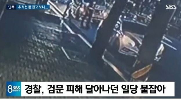  추격전 끝에 잡고 보니.jpg