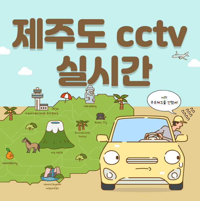  제주도 cctv 실시간 (도로)