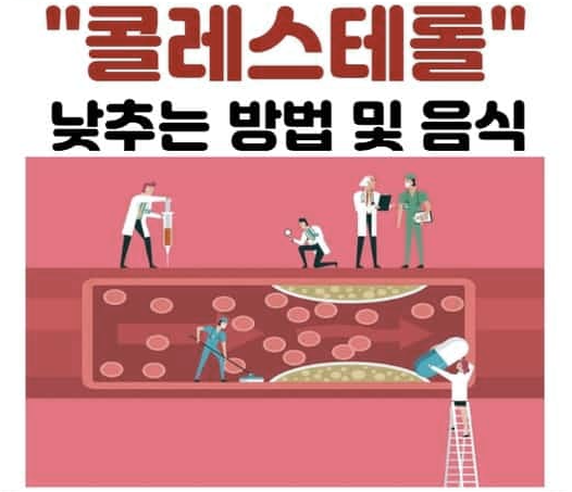  콜레스테롤이란?: 콜레스테롤을 낮추는 차 종류와 효과적인 방법