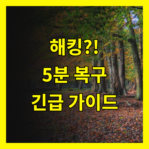 구글 계정 해킹 긴급 복구 가이드: