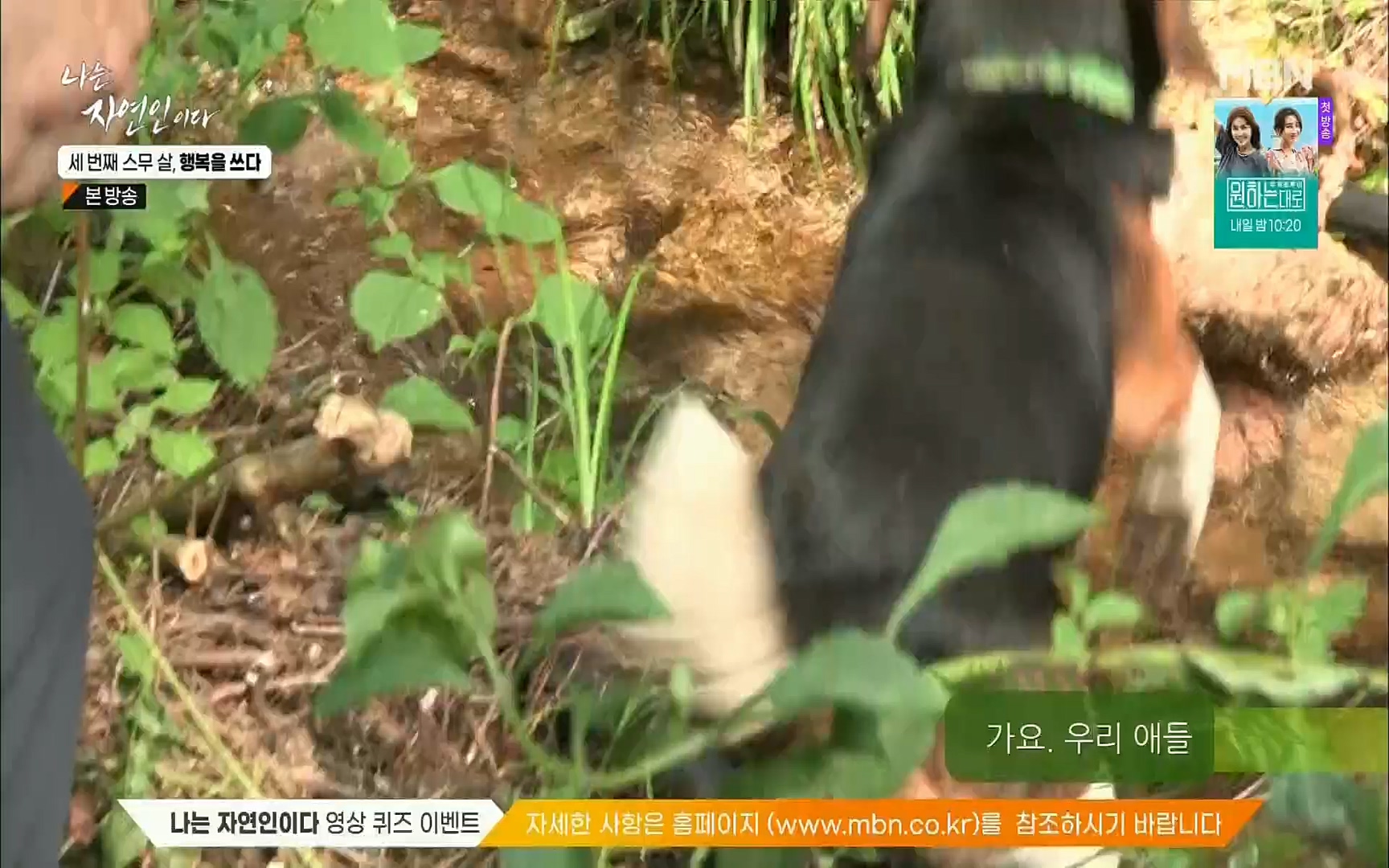 나는 자연인이다.E516.220824p.H264-F1RST.mp4_20220825_164141.673.jpg