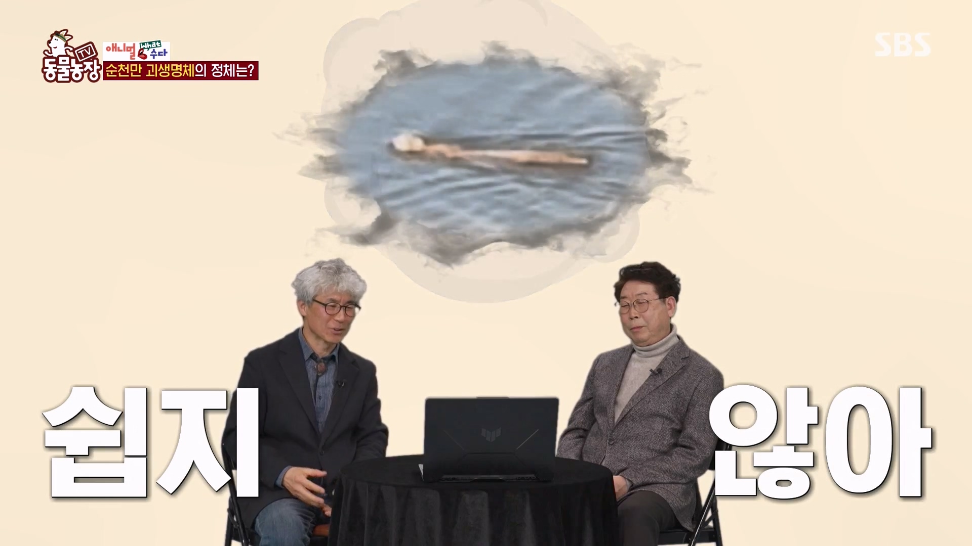 TV 동물농장.E1164.240324p-NEXT.mp4_20240324_170429.468.jpg