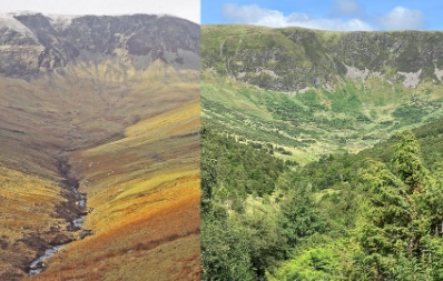  재야생화를 도와주는 '리와일드 트레이너'  VIDEO:Rewilding trainer lets people disperse plants as they run
