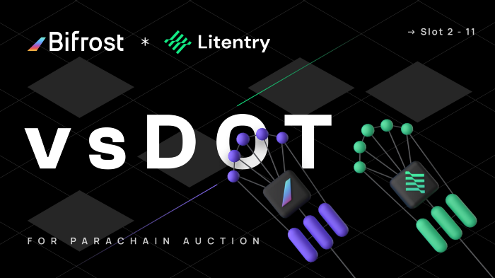  [Bifrost Finance 바이프로스트 파이낸스] 바이프로스트 SALP가 Litentry 폴카닷 크라우드론을 지원합니다