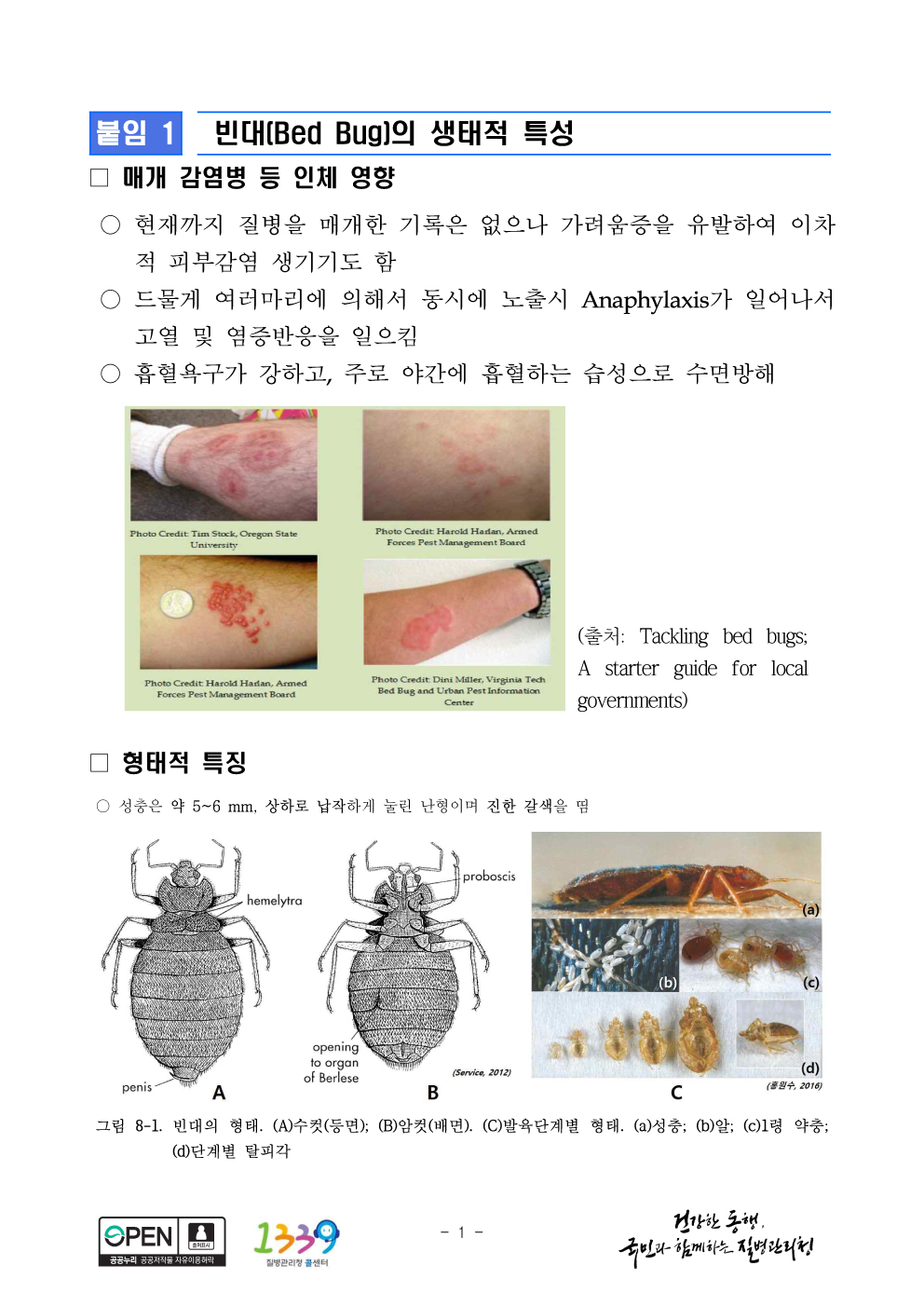 빈대에 물리면( ※사진주의 ※)