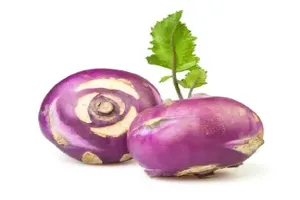 콜라비