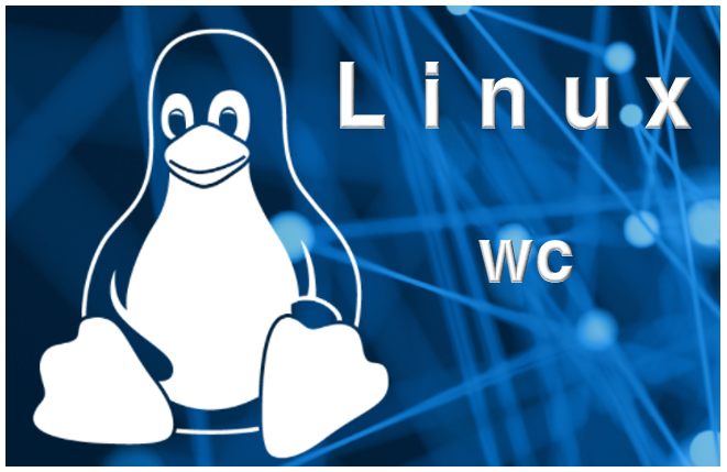  [Linux] 리눅스 서버, wc 명령어 사용법 및 옵션 사용법 총정리