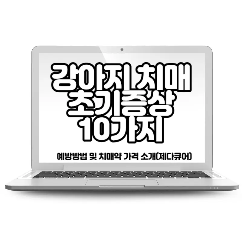 강아지 치매 초기증상 10가지 예방방법 및 치매약 가격 소개(제다큐어)